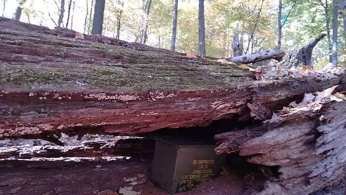 Ammo Can in a Log - TomTurtle