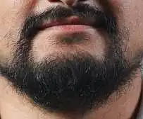 The Combo-Breaker (Goatee-Mustache)