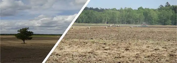 3.13. How important is the agricultural landscape for your well-being?