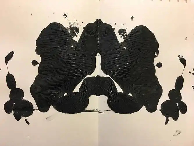 What do you see?