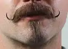 The Doc Holiday