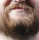 The Brimley Jr.