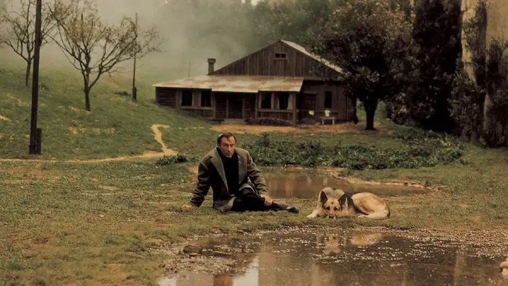 What associations does this photo evoke for you?