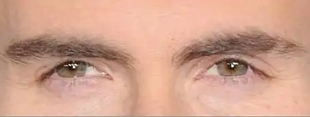 2. On a scale of 1-10, How good-looking are these eyes?
