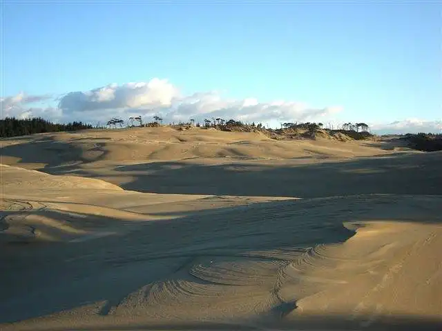 ឌុយន៍ South Jetty (5 នាទីទៅត្បូងនៃ Florence)