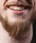 The Red Guevara