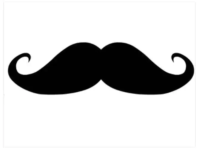 Cinco De Moustache 2014