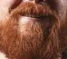 The Yosemite Sam
