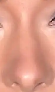 48. On a scale of 1-10, How good-looking is this nose?
