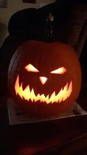 What category do you think this pumpkin is?