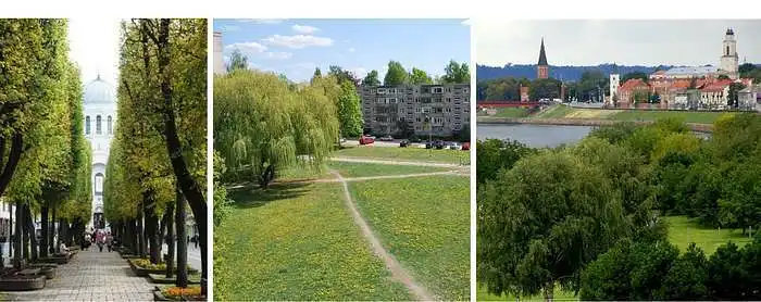 3.10. Koliko su važna urbana zelena područja za vaše blagostanje?