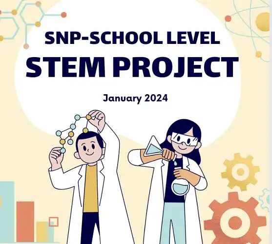 School Level STEM