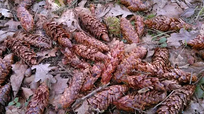 Fotoğrafı değerlendirin