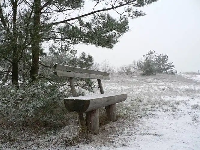 Fotoğrafı değerlendirin