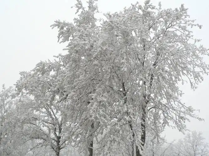 Fotoğrafı değerlendir