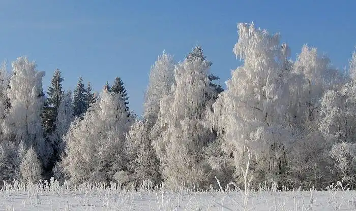 Oceń zdjęcie