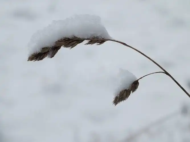 Ohodnoťte fotografii