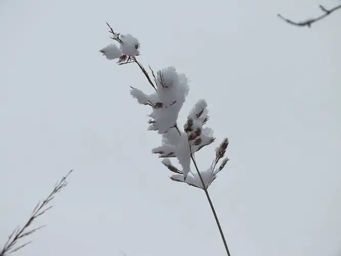 Fotoğrafı değerlendirin