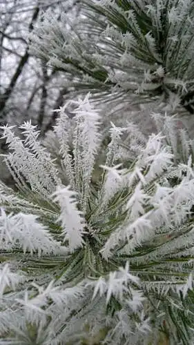 Fotoğrafı değerlendirin