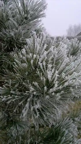 Fotoğrafı değerlendirin