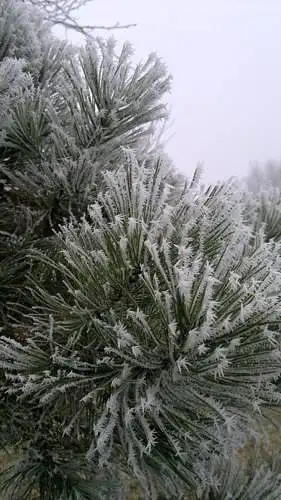 Fotoğrafı değerlendirin