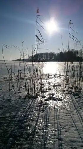 Įvertinkite nuotrauką