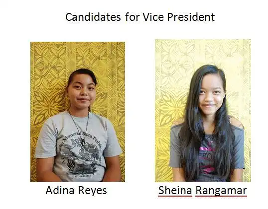 Your choice for Vice President.