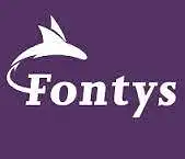 Hur kan vi öka studentantalet för Fontys Master i Business and Management (MBM)?