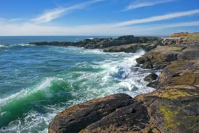 Parque Estatal Smelt Sands (38 minutos al norte de Florence)