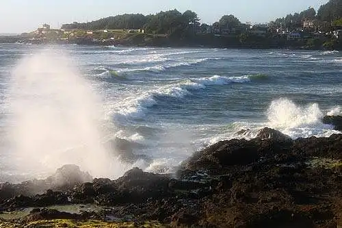 Agate Cove (35 minut na północ od Florencji; w pobliżu Ocean Cove Inn)