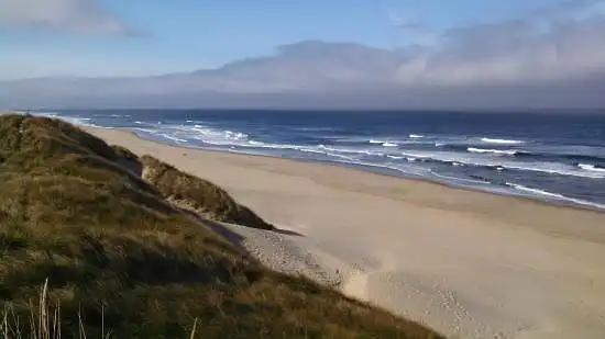 Plaża South Jetty (około 10 minut na południowy zachód od Florencji)