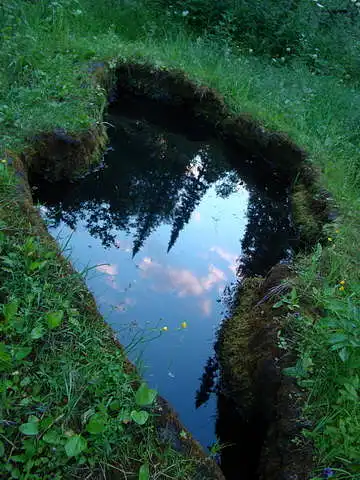 Hat dieses Bild etwas mit Ihrer Vorstellung von der Region Tomsk zu tun?