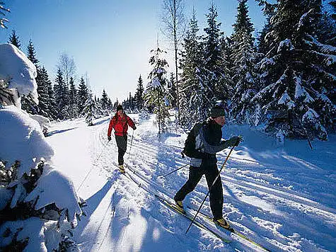 Hat dieses Bild etwas mit Ihrer Vorstellung von der Region Tomsk zu tun?