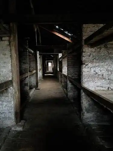 “This is a photo I took in the barracks at Auschwitz Birkenau Death Camp in Poland in February of 2017 during my semester in Finland. This was an incredibly jarring and unsettling experience, but one I found very rewarding and educational." 